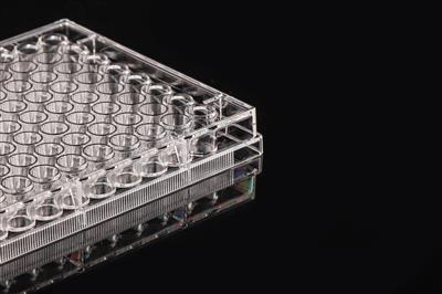 48051363_96 Well Cell Culture Plate-Flat-1.JPG