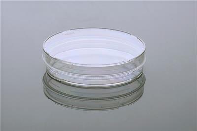 48051375_100mm Cell Culture Dish-2.JPG