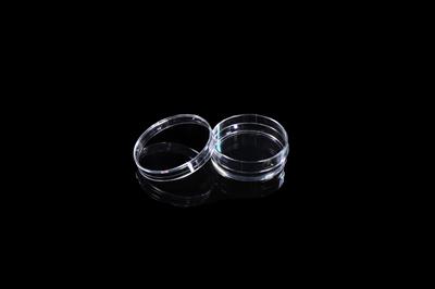 48051377_35mm Petri Dish.JPG