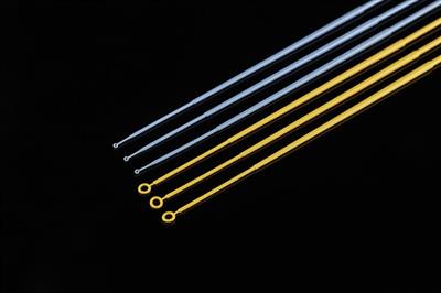 48051391_Inoculating Loop (1).JPG