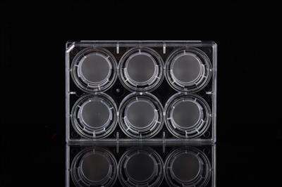 48051398_6 Inserts+6 Well Plate-1.JPG