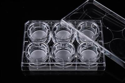 48051398_6 Inserts+6 Well Plate-3.JPG