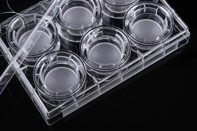 48051402_6 Inserts+6 Well Plate-2.JPG