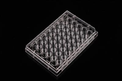 48051430_48 well cell culture plate-1.JPG