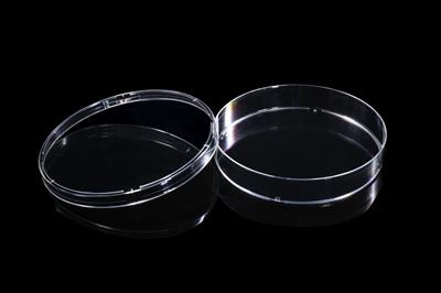 48051438_100mm Petri Dish (2).JPG