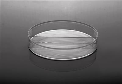 48051439_Petri Dish+I-Plate.jpg