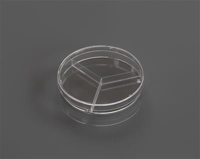 48051440_Petri Dish+Y-Plate.JPG