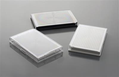 48051448_384 well cell culture plate-1.JPG