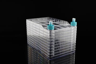 48051452_BioFactory with Overcaps (2).JPG