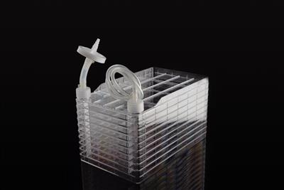 48051456_Biofactory 10 chamber with tube (3).JPG