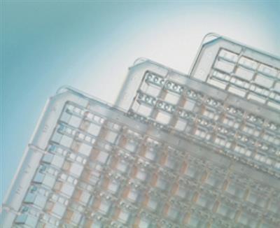 50051269_1.jpg