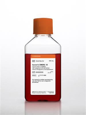 61211010_10-016-CV_A.jpg