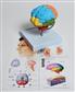 41233529_MABR08 Brain Model b.jpg