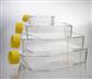 48051020_biotcflask1.jpg