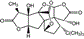 61333855_1.gif